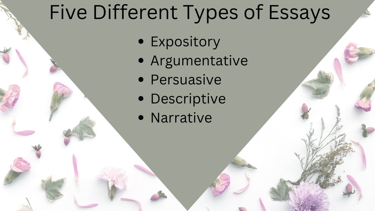 Different Types of Essays
